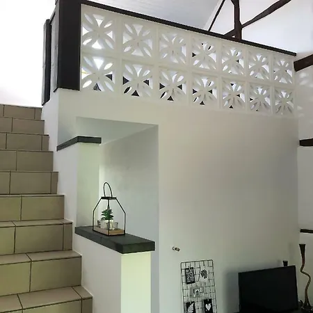 Au Petit H 斯塔沃洛